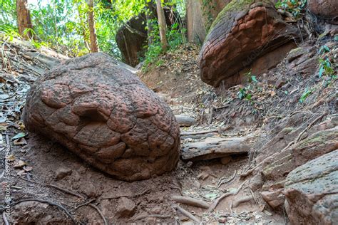 naka cave thailand snake|Uncovering the Secrets of Naka Cave: A Must